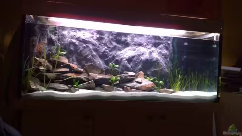 Aquarium Becken 7545 von Rue2000 (2)