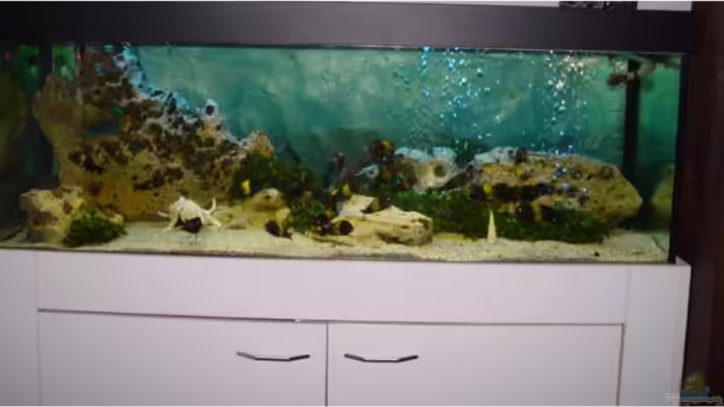 Aquarium Becken 7548 von Mathi-n (3)