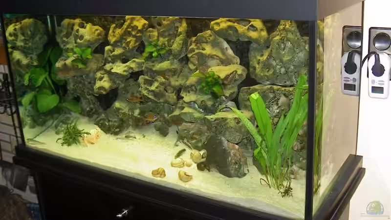 Aquarium Becken 755 von Reinhard Boll (3)