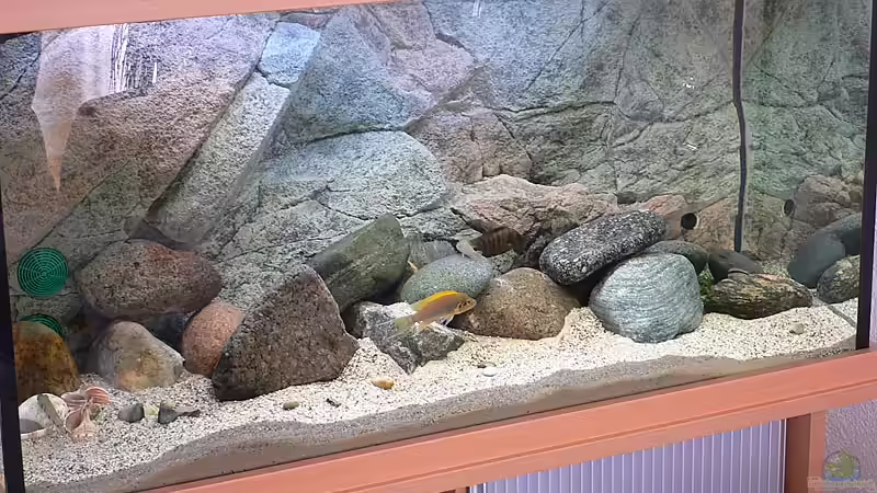 Aquarium Becken 771 von Oliver Vieth (2)