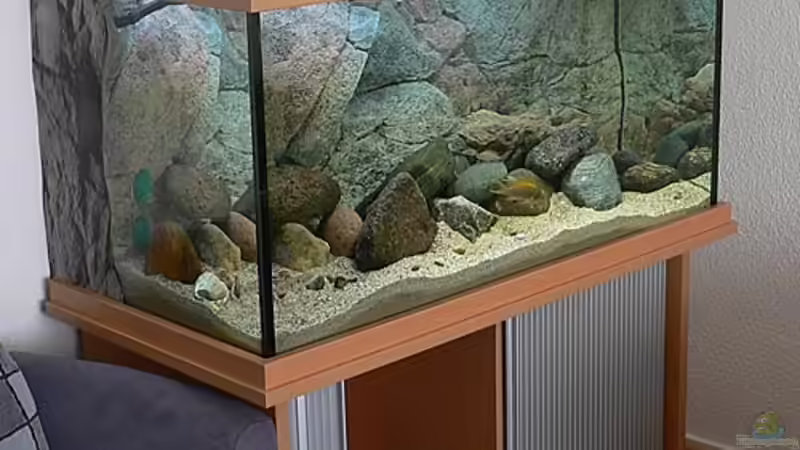 Aquarium Becken 771 von Oliver Vieth (3)