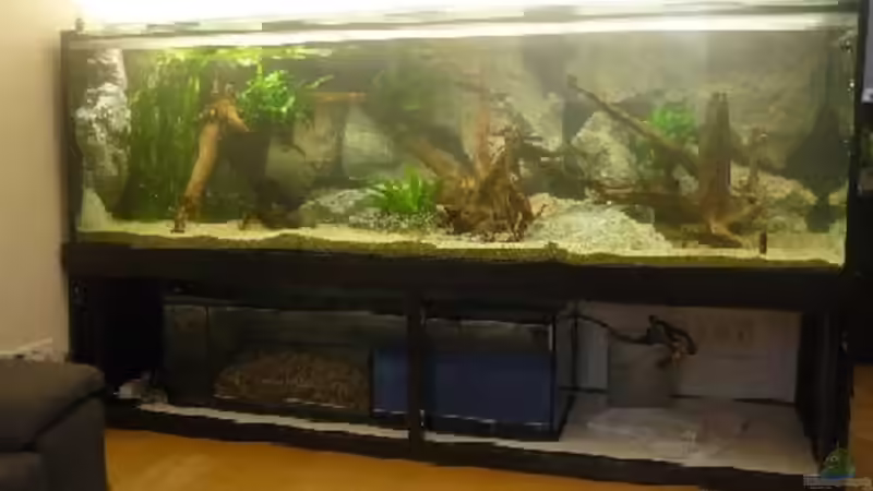 Aquarium Becken 7736 von Crenii (12)