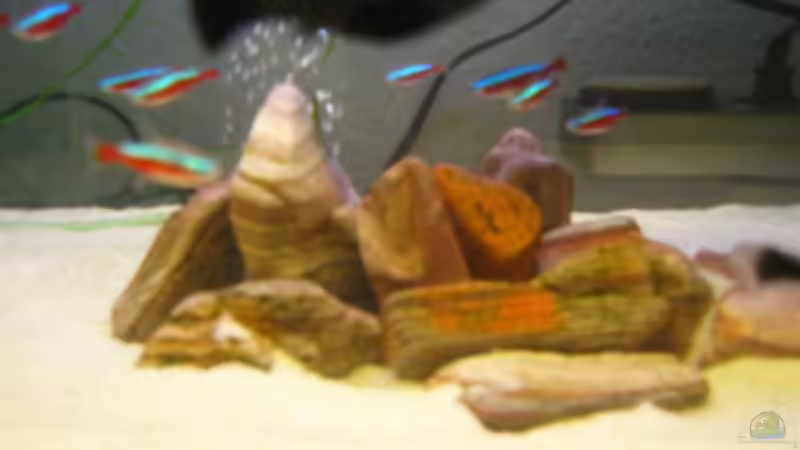 Aquarium Becken 7767 von K.one.S (2)