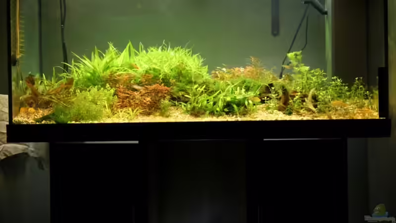 Aquarium Becken 7804 von speedcats (5)