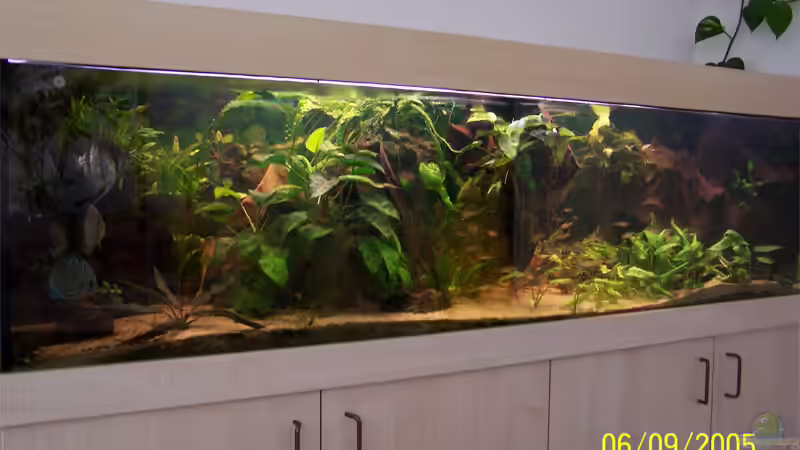 Aquarium Becken 787 von aus-Berlin (2)