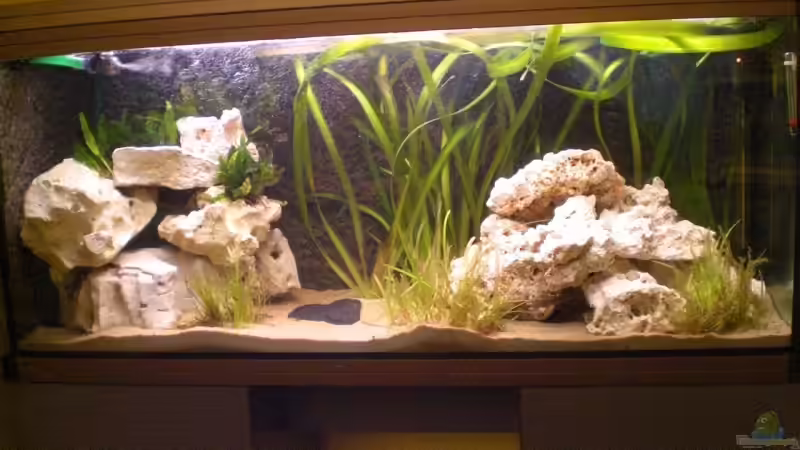 Aquarium Becken 7898 von MarcD (2)