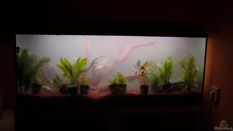 Aquarium Becken 7912 von Unterwasser-BigBrother (2)