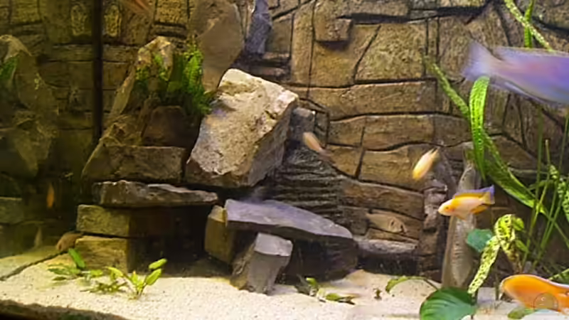 Aquarium Becken 806 von Michael Gründl (4)