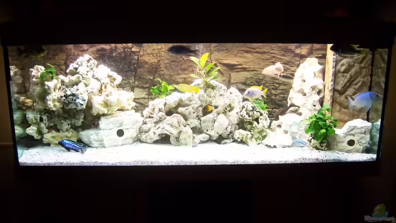 Aquarium Becken 8076 von Stefan Schulz (16)