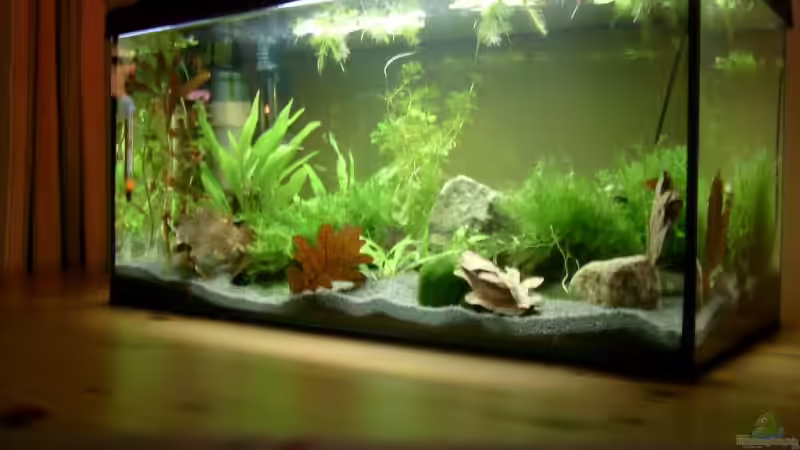 Aquarium Becken 8079 von Jacy (2)