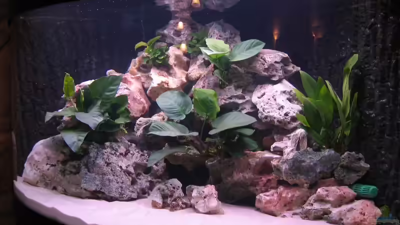 Aquarium Becken 820 von Björn Klocke (2)