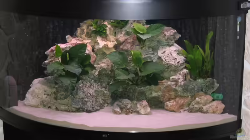 Aquarium Becken 820 von Björn Klocke (3)