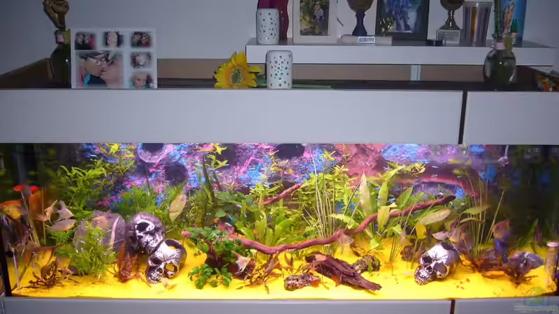 Aquarium Becken 8220 von X-RULEZZ (2)