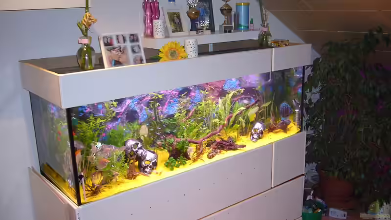 Aquarium Becken 8220 von X-RULEZZ (3)