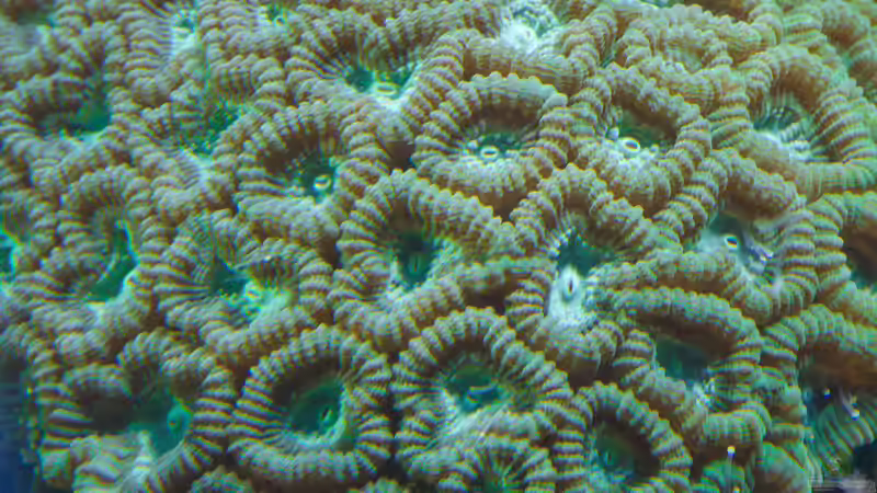 Aquarium Becken 8277 von Martin Kirchberger (11)