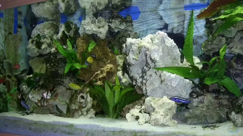 Aquarium Becken 8290 von mmaik2k (6)