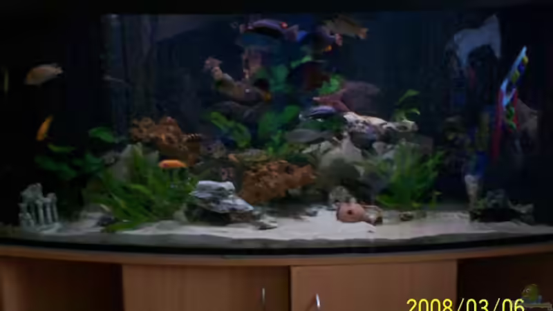 Aquarium Becken 8347 von Stefan Buchwald (2)