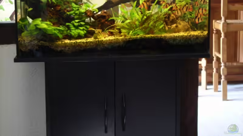 Aquarium Becken 8375 von Oliver Czaika (4)