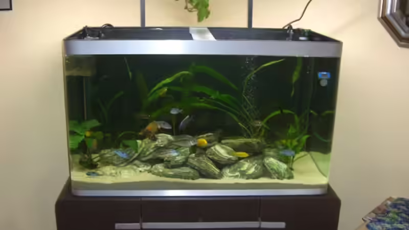 Aquarium Becken 8453 von Marco Röhrig (2)