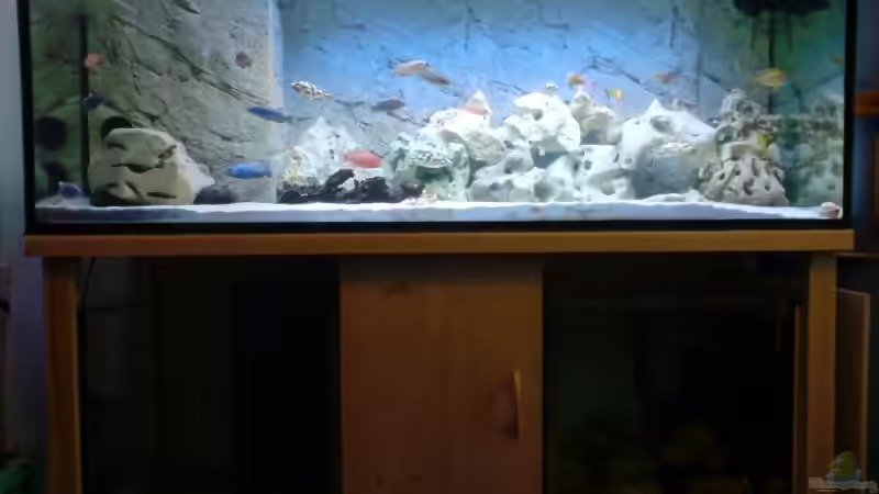 Aquarium Becken 8497 von iluby (2)