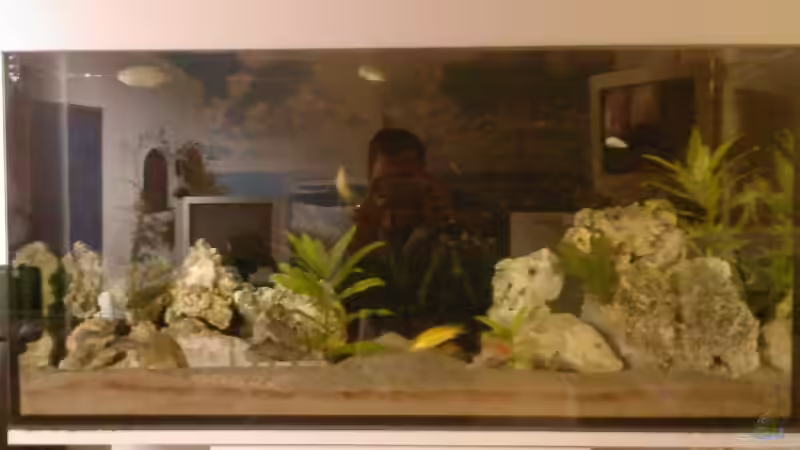 Aquarium Becken 8509 von Sebastian Wolff (2)