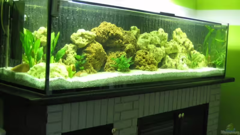 Aquarium Becken 8524 von Solle (2)