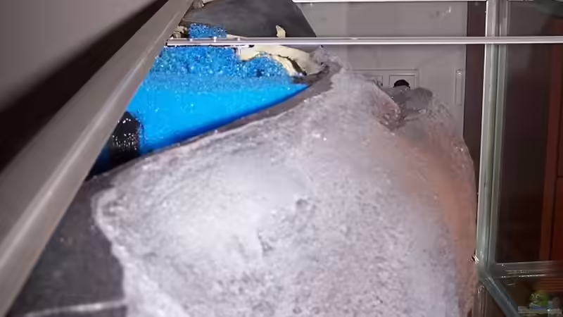 Aquarium Becken 853 von Wolfgang Fischer (4)