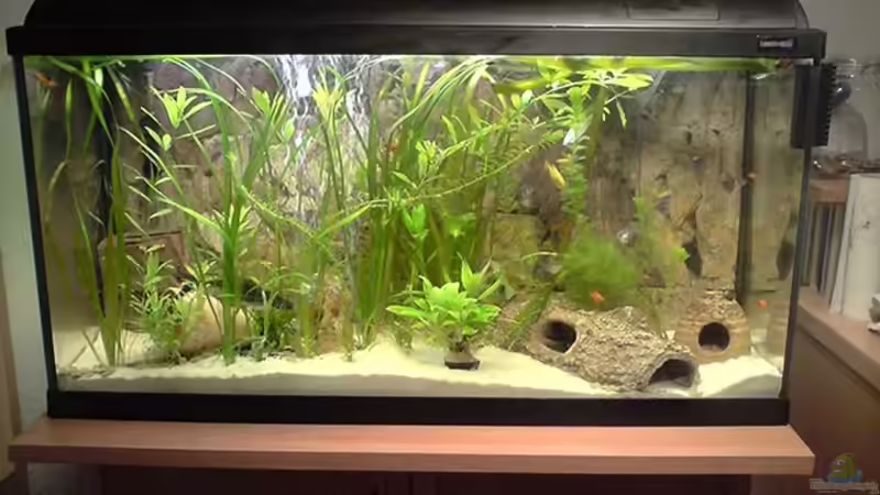 Aquarium Becken 8531 von David Kousataloglou (2)