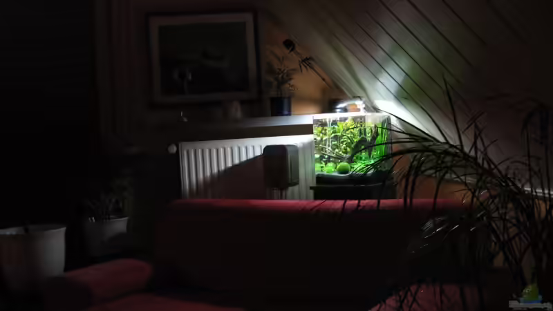 Aquarium Becken 8532 von Frank Wintermann (2)