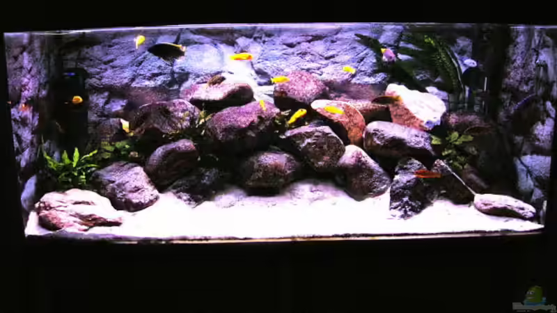 Aquarium Becken 854 von Tobias Hübner (2)