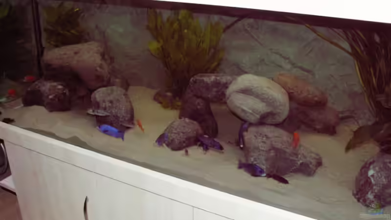 Aquarium Becken 856 von wede1980 (2)