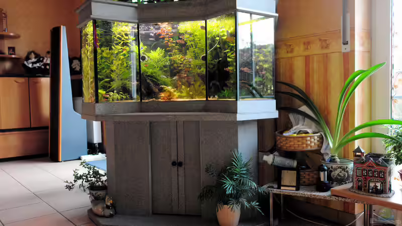 Aquarium Becken 8583 von WSS (4)