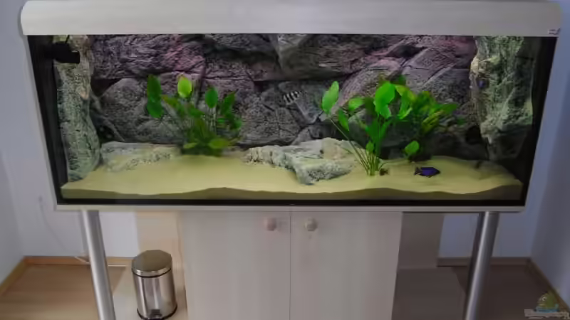 Aquarium Becken 8662 von Jürgen Nagl (2)