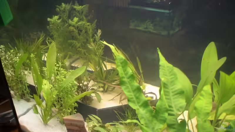 Aquarium Becken 8671 von freezer (2)