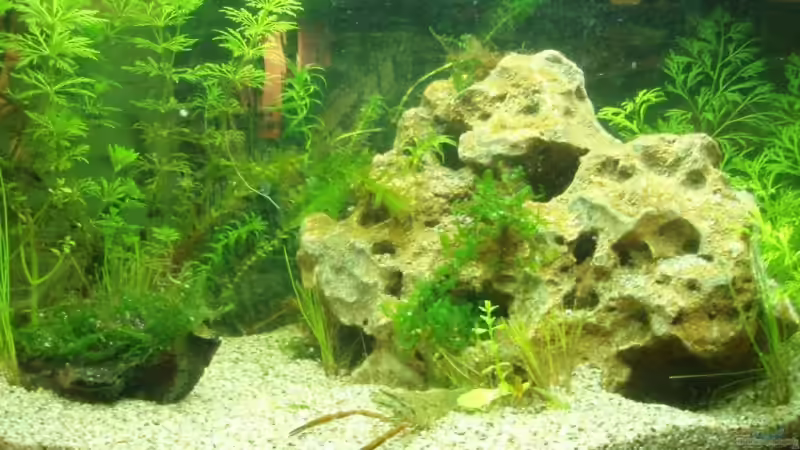 Aquarium Becken 8789 von aetti (2)