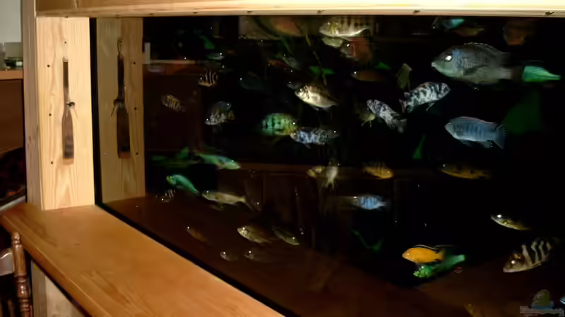 Aquarium Becken 88 von Martin Fabick (5)