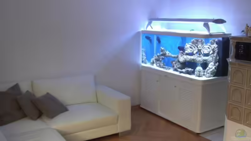 Aquarium Becken 8816 von Rainer Stilcke (5)
