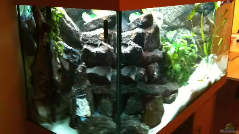 Aquarium Becken 8819 von XDennisX3 (4)