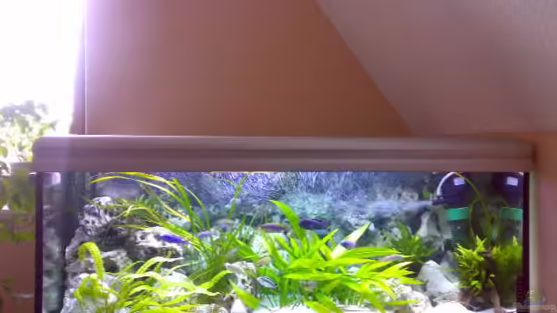 Aquarium Becken 8824 von Sylvia Hoffmann (3)