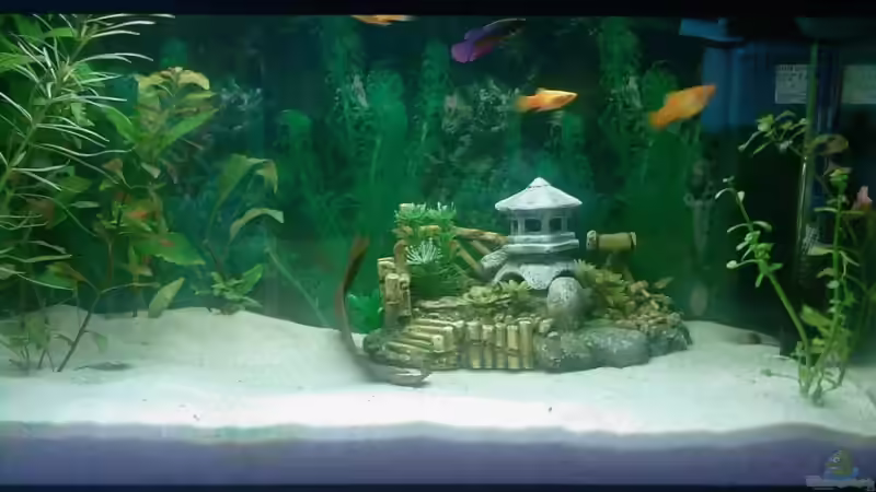 Aquarium Becken 8836 von alexandra (2)