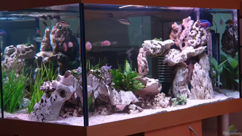 Aquarium Becken 885 von Jürgen Stradner (4)