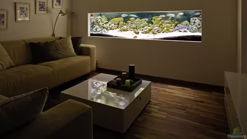 Aquarium Becken 89 von Marcos Arias (7)