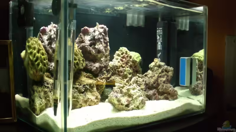 Aquarium Becken 8937 von rot08 (2)