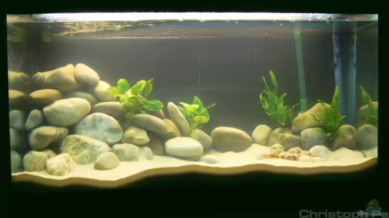 Aquarium Becken 8939 von gruengold (2)