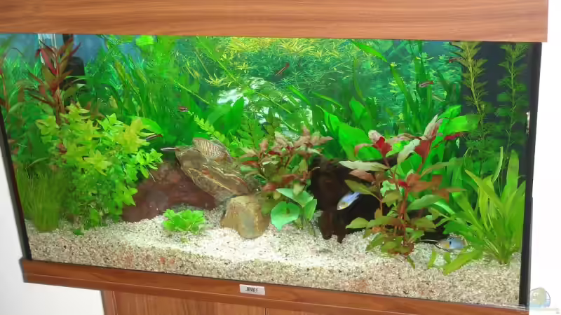 Aquarium Becken 8941 von Thomas Weyhofen (3)