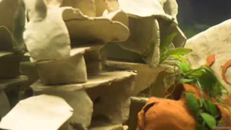 Aquarium Becken 8960 von p.typus (2)