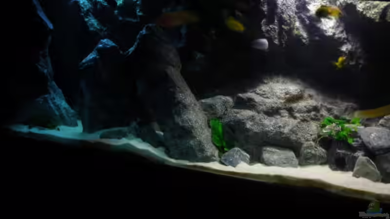 Aquarium Becken 9037 von MDenzer (7)