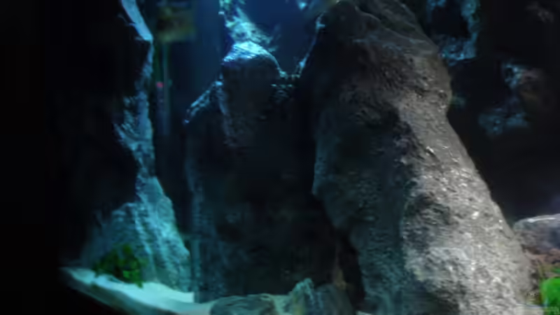 Aquarium Becken 9037 von MDenzer (8)