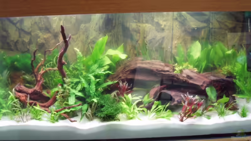 Aquarium Becken 9091 von Thomas Wolfsteiner (2)