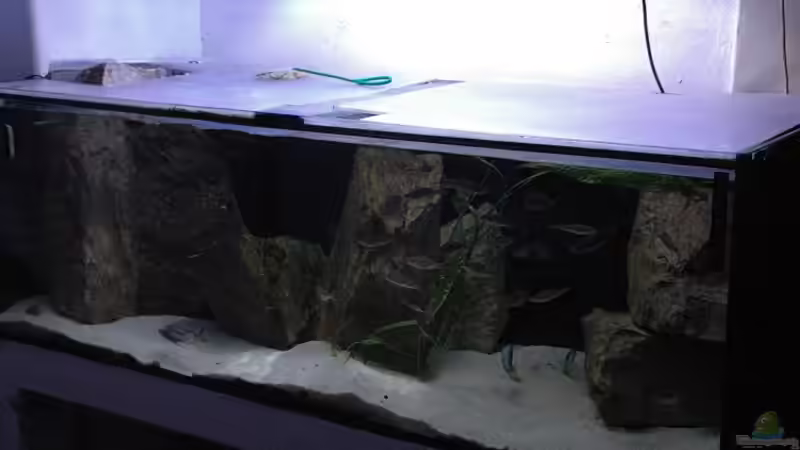 Aquarium Becken 91 von Simon Delgardo (10)